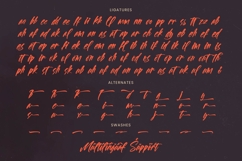 Spotnight Balmonte - Modern Brush Font Script Product Image 19