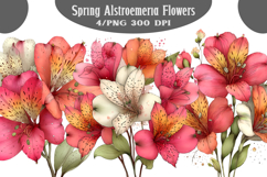 Spring Alstroemeria Flowers Clipart PNG Product Image 1