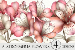 Spring Alstroemeria Flowers Clipart Product Image 1