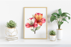 Spring Alstroemeria Flowers Clipart PNG Product Image 2