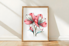 Spring Alstroemeria Flowers Clipart Product Image 2