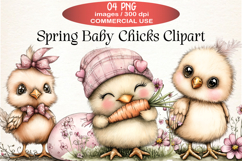 Spring Baby Chicks Clipart Product Image 1