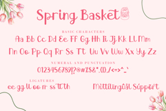 Spring Basket Product Image 8