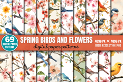 Spring Birds And Flowers Patterns Bundle PNG Product Image 1