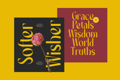 Spring Braavo - Modern Display Typeface Serif Display Product Image 11