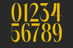 Spring Braavo - Modern Display Typeface Serif Display Product Image 13