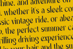 Spring Braavo - Modern Display Typeface Serif Display Product Image 16