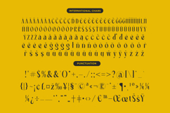 Spring Braavo - Modern Display Typeface Serif Display Product Image 18