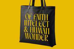 Spring Braavo - Modern Display Typeface Serif Display Product Image 8