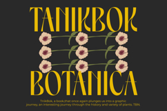 Spring Braavo - Modern Display Typeface Serif Display Product Image 9