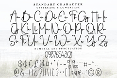 Spring Breaks Product Image 3