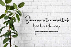 Spring Breaks Product Image 4