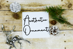 Spring Breaks Product Image 5