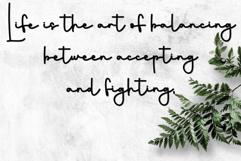 Spring Breaks Product Image 6