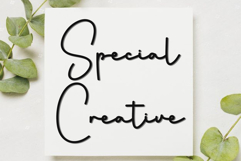 Spring Breaks Product Image 7