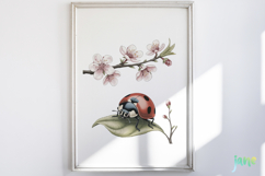 Spring Bugs Clipart Product Image 2