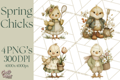 Vintage Spring Chicks Clipart, Cute Baby Chick Gardening Product Image 1