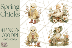 Vintage Spring Chicks Clipart, Cute Baby Chick Gardening Product Image 1