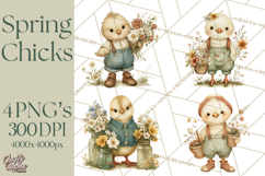 Vintage Spring Chicks Clipart, Cute Baby Chick Gardening Product Image 1