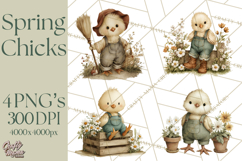 Vintage Spring Chicks Clipart, Cute Baby Chick Gardening Product Image 1