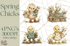 Vintage Spring Chicks Clipart, Cute Baby Chick Gardening Product Image 1
