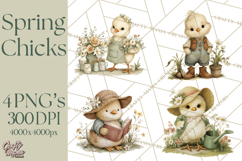 Vintage Spring Chicks Clipart, Cute Baby Chick Gardening Product Image 1
