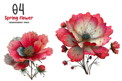 Spring Cosmos Flower Clipart Product Image 1