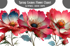 Spring Cosmos Flower Clipart Product Image 1
