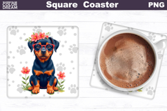 Rottweiler Square Coaster | Dog Square Coaster Product Image 1