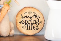 ROUND SPRING DOOR SIGN SVG I SPRING FARMHOUSE SIGN SVG I SPRING SIGN SVG I EASTER SVG