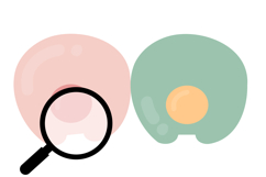 Spring Dot Color Font Product Image 7