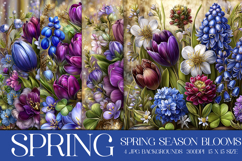 Spring Backgrounds, Spring Season Blooms Backgrounds, s1 Product Image 1