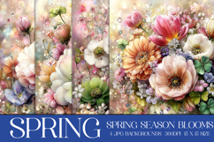Spring Backgrounds, Spring Season Blooms Backgrounds, s3 Product Image 1