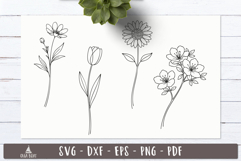 Spring Flower SVG Line art Garden designs