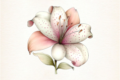 Spring Flower Whimsical Clipart Product Image 2