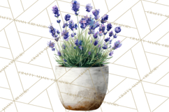 Spring Flower Clipart, Watercolor Bouquet Clipart PNG Product Image 5