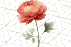 Spring Flower Clipart, Watercolor Bouquet Clipart PNG Product Image 3