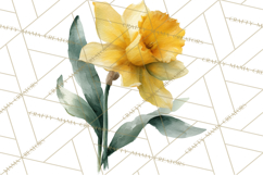 Spring Flower Clipart, Watercolor Bouquet Clipart PNG Product Image 2