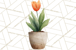 Spring Flower Clipart, Watercolor Bouquet Clipart PNG Product Image 4