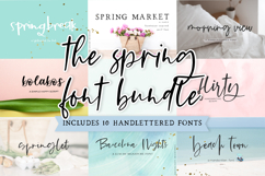 The Spring Font Bundle Product Image 1