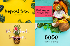 The Spring Font Bundle Product Image 9