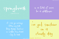 The Spring Font Bundle Product Image 10