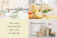 The Spring Font Bundle Product Image 2
