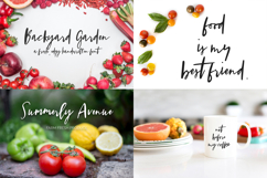 The Spring Font Bundle Product Image 6