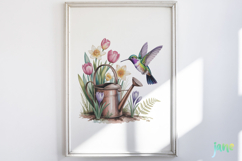 Spring Hummingbird Clipart Product Image 5