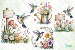 Spring Hummingbird Clipart Product Image 1