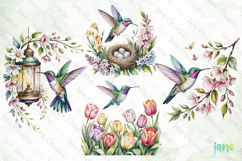 Spring Hummingbird Clipart Product Image 1
