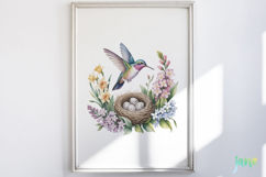 Spring Hummingbird Clipart Product Image 5