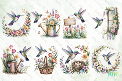 Spring Hummingbird Clipart Product Image 8
