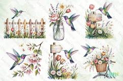 Spring Hummingbird Clipart Product Image 2